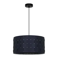 Подвесной светильник Arte Lamp FLEECE A7097SP-1BK
