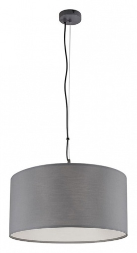 Подвесная люстра Arte Lamp COPPA A4095SP-3GY фото 2 Подвесная люстра Arte Lamp COPPA A4095SP-3GY фото 2