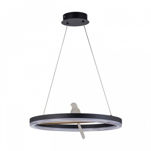 Подвесной светильник F-promo Bardy 4654-1P фото 2 Подвесной светильник F-promo Bardy 4654-1P фото 2