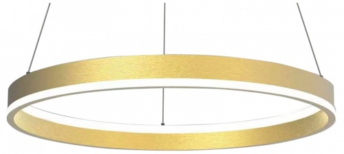 Подвесной светильник Lightstar Rotonda 736402 Подвесной светильник Lightstar Rotonda 736402