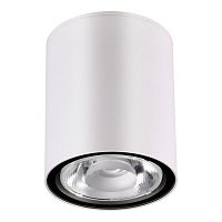 NOVOTECH 358012 STREET NT19 700 белый Ландшафтный светильник IP65 LED 3000К 6W 220V TUMBLER