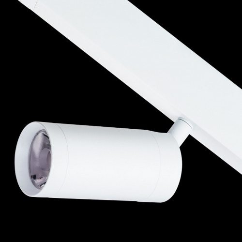 Светильник на штанге Lightstar Teta 205026 фото 3