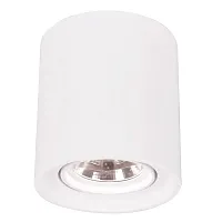 Точечный накладной светильник Arte Lamp TUBO A9262PL-1WH