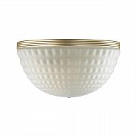 Накладной светильник Odeon Light Malaga 4936/1W
