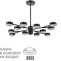 LUMION 8117/12 COMFI LN26 235 черный, металл Люстра LED GX53 12*7W 220V TORINA