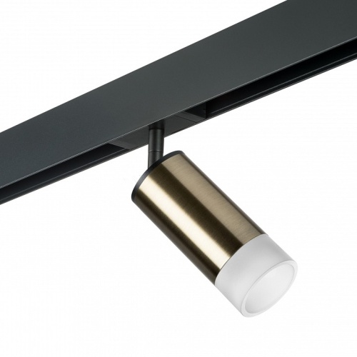 Светильник на штанге Lightstar Rullo PRO43131 Светильник на штанге Lightstar Rullo PRO43131