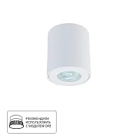 Точечный накладной светильник Arte Lamp TINO A1469PL-1WH