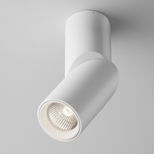Светильник на штанге Maytoni Technical Dafne C027CL-L10W4K фото 2