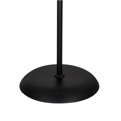 Торшер с подсветкой Arte Lamp Duetto A9569PN-2BK фото 4