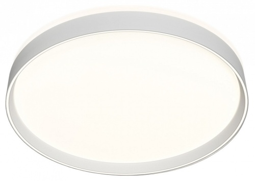 Накладной светильник Denkirs PLATO DK6511-WH Накладной светильник Denkirs PLATO DK6511-WH