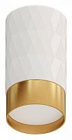 Накладной светильник Arte Lamp Fang A5658PL-1WH