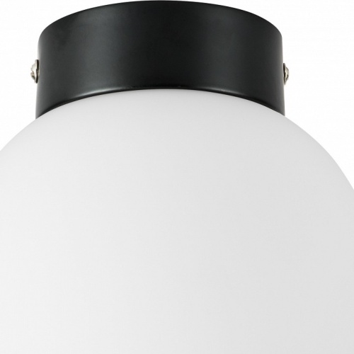 Накладной светильник Lightstar Globo 812017 фото 2 Накладной светильник Lightstar Globo 812017 фото 2