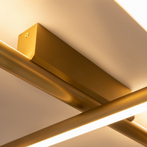 Потолочная люстра Maytoni Radiance MOD278CL-L50G3K фото 9