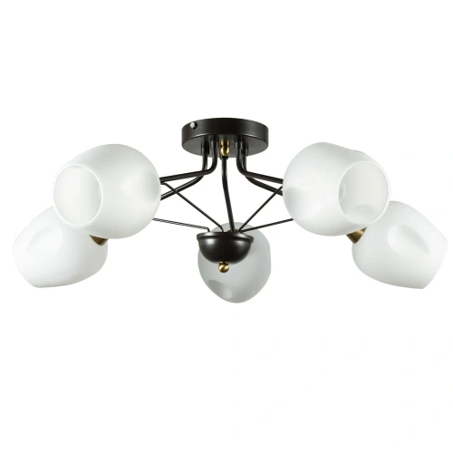 Потолочная люстра Arte Lamp BRIGHTON A2706PL-5CK Потолочная люстра Arte Lamp BRIGHTON A2706PL-5CK