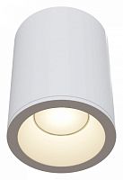 Накладной светильник Maytoni Technical Zoom C029CL-01W