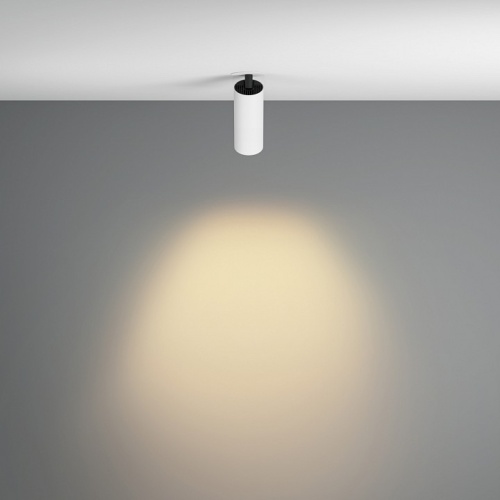 Встраиваемый светильник на штанге Maytoni Technical FOCUS LED C053CL-L12W2.7K-W-W фото 4 Встраиваемый светильник на штанге Maytoni Technical FOCUS LED C053CL-L12W2.7K-W-W фото 4