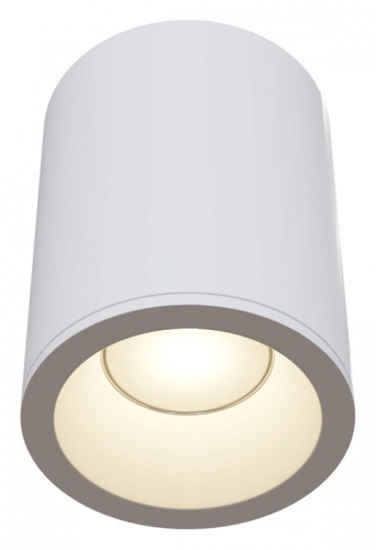 Накладной светильник Maytoni Technical Zoom C029CL-01W
