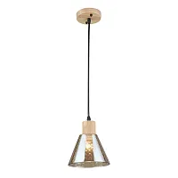 Подвесной светильник Arte Lamp LANCASTER A5891SP-1BK