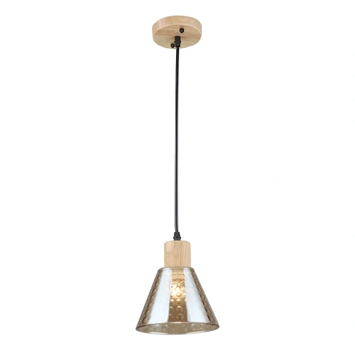 Подвесной светильник Arte Lamp LANCASTER A5891SP-1BK
