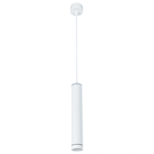 Точечный подвесной светильник Arte Lamp ALTAIS A6110SP-2WH Точечный подвесной светильник Arte Lamp ALTAIS A6110SP-2WH
