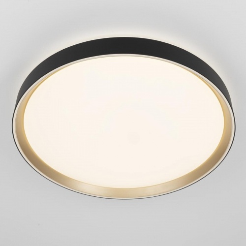 Накладной светильник Citilux BOSS CL751451G фото 3 Накладной светильник Citilux BOSS CL751451G фото 3