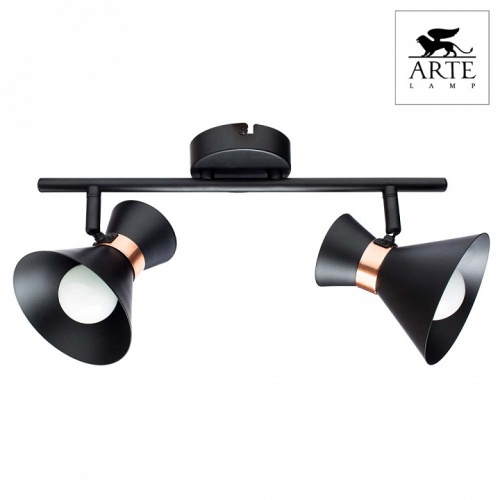 Спот Arte Lamp Baltimore A1406AP-2BK фото 2
