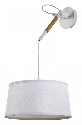 Светильник на штанге F-promo Eureka 3005-1P фото 2 Светильник на штанге F-promo Eureka 3005-1P фото 2