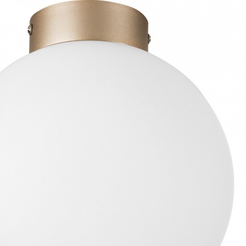 Накладной светильник Lightstar Globo 812023 фото 2