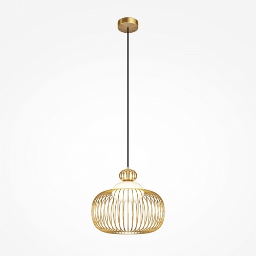 Подвесной светильник Maytoni Levitation MOD376PL-01G фото 2 Подвесной светильник Maytoni Levitation MOD376PL-01G фото 2