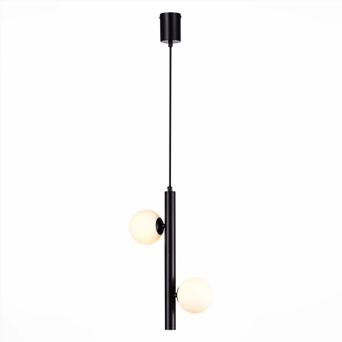 SL1185.403.02 Подвес ST-Luce Черный/Белый G9 2*5W SL1185.403.02 Подвес ST-Luce Черный/Белый G9 2*5W