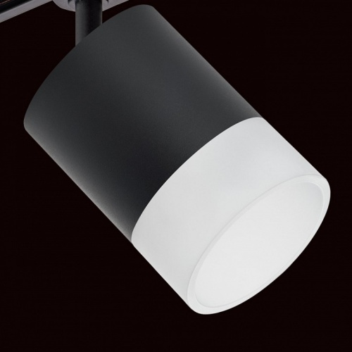Светильник на штанге Lightstar Rullo R1T348781 фото 4