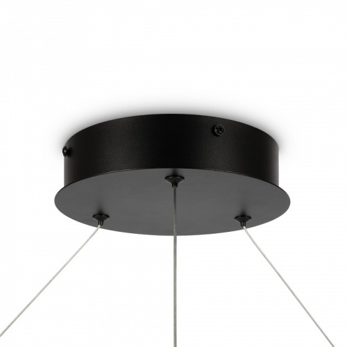 Подвесной светильник Maytoni Rim MOD058PL-L65BK фото 6