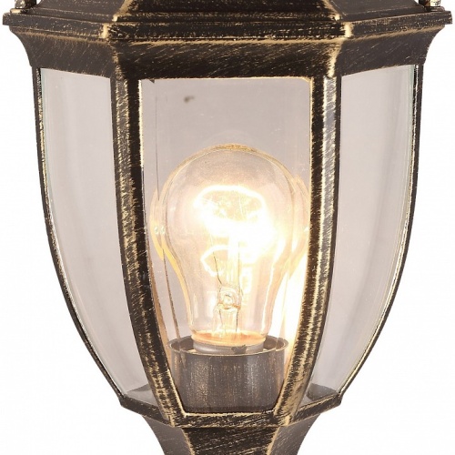 Ландшафтный светильник Arte Lamp PEGASUS A3151FN-1BN фото 3
